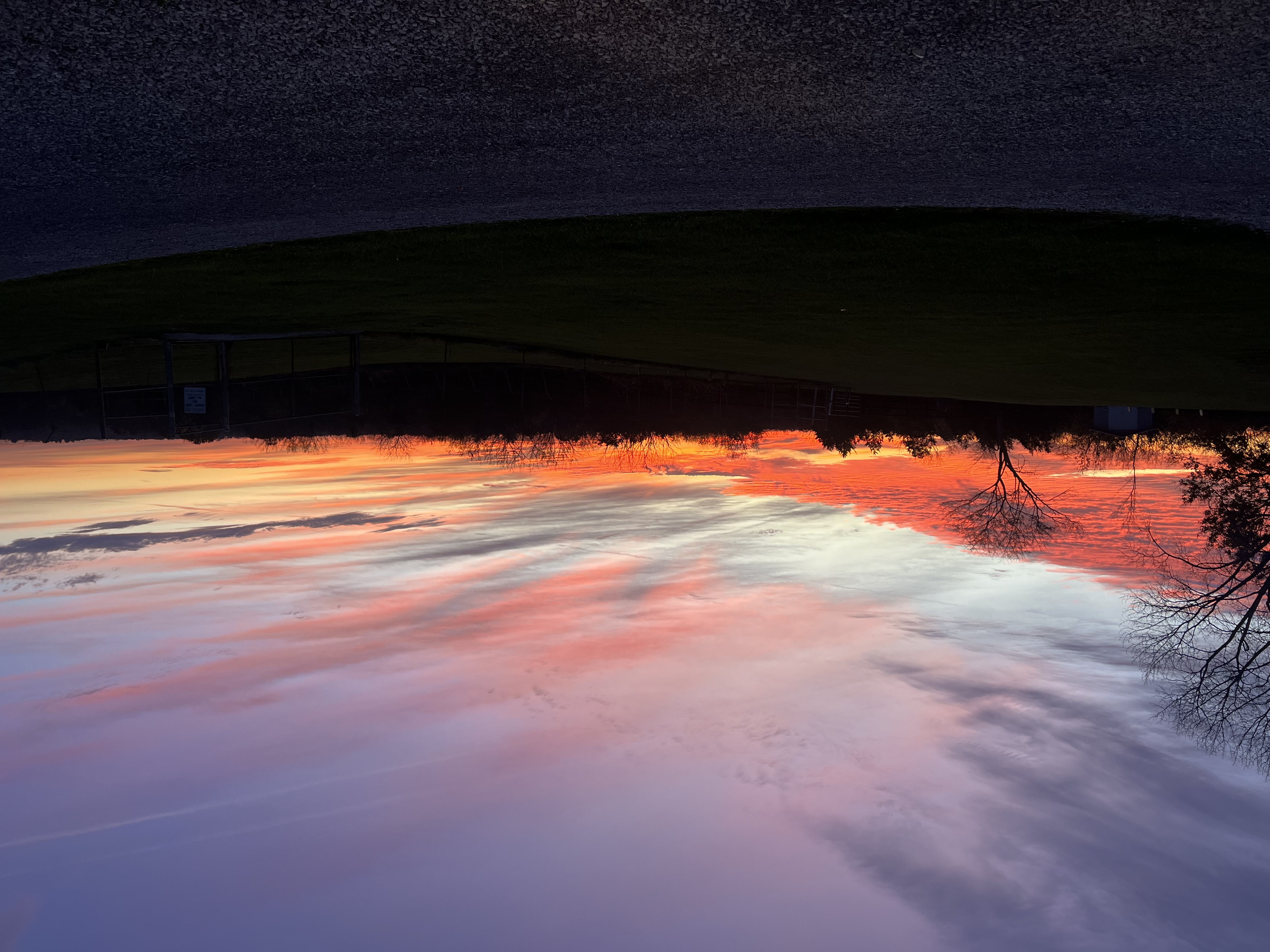 dawn in kentucky silouhette of land and red-orange hombre to pink purple and blue skies as the sun emerges for the day