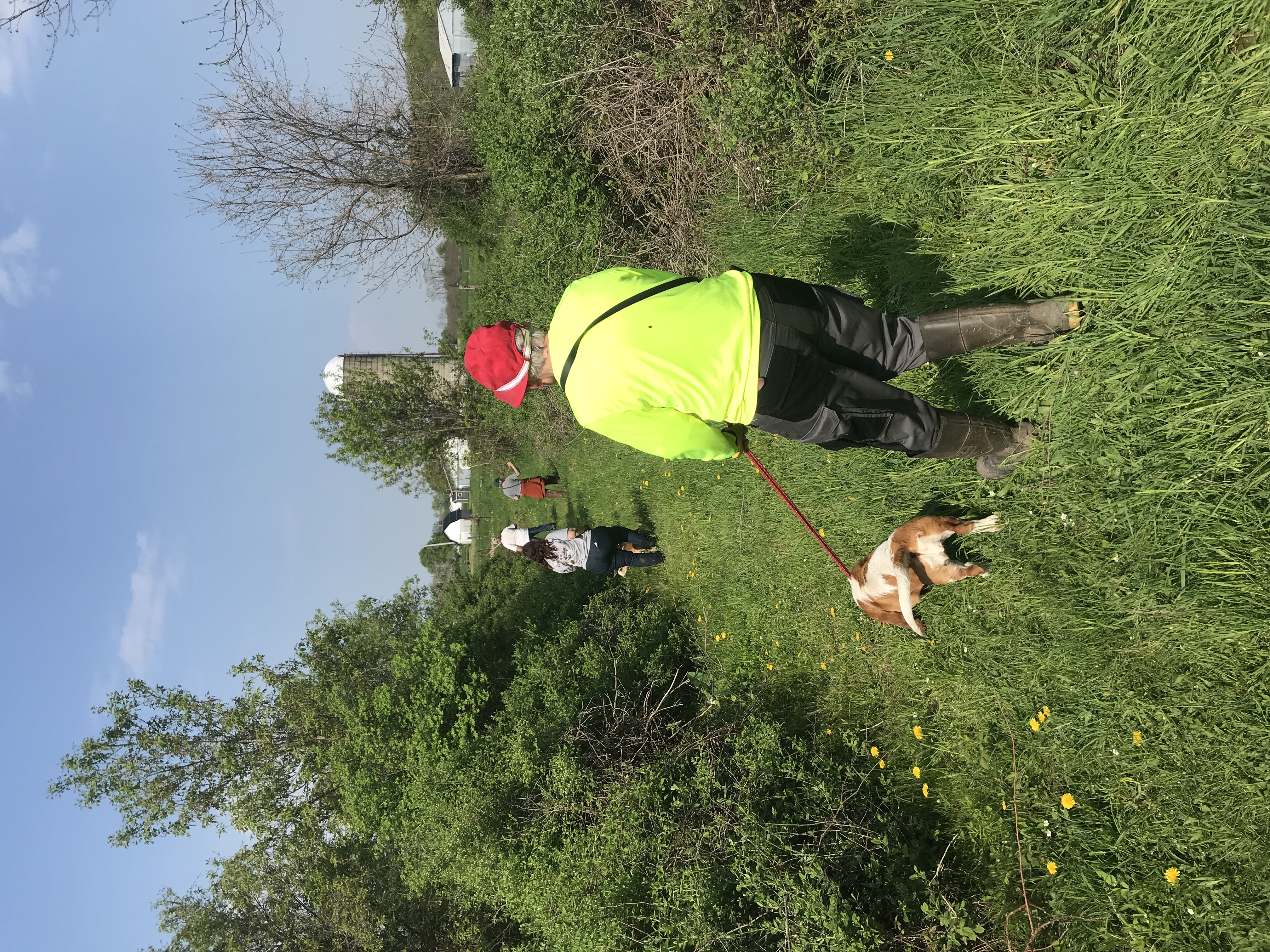 people walk away from the camera down a grass path at a beagle club, a farm/silo in the distance, person in foreground has a basset hound