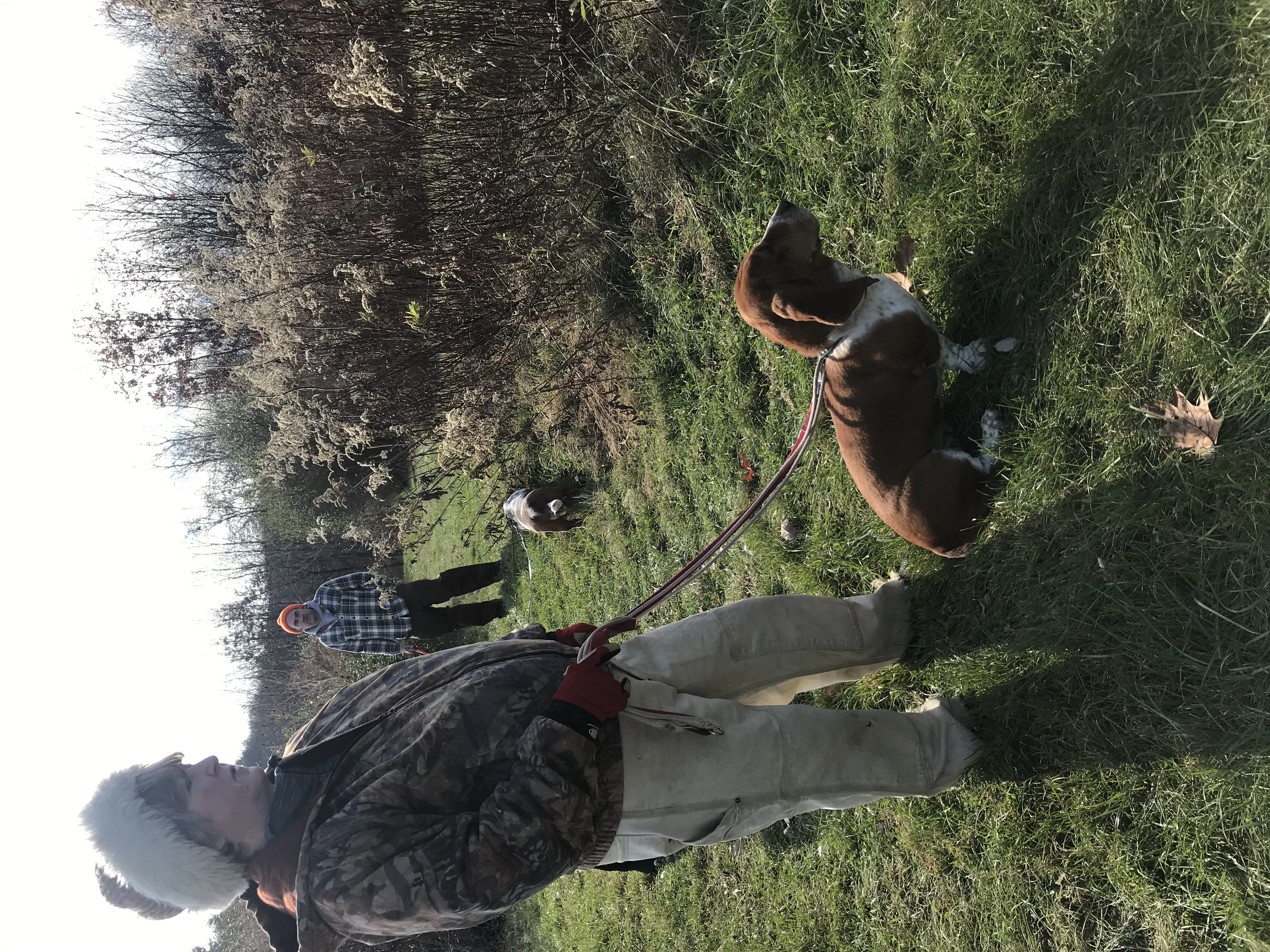woman with large hat and a basset hound