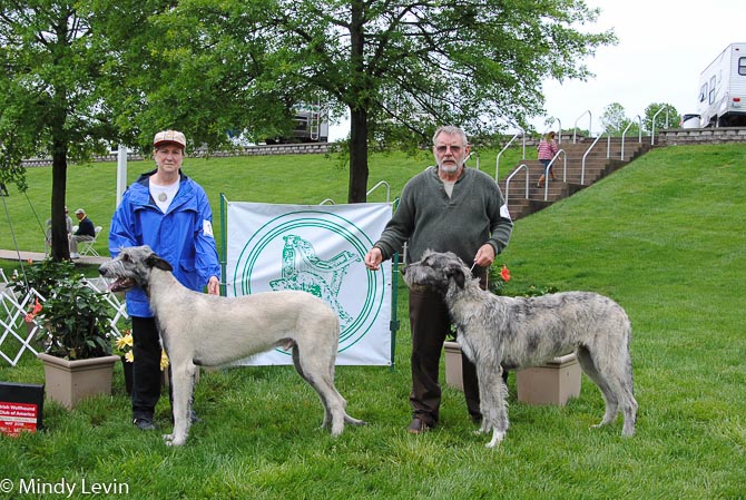 6-9 Month Dog, Other Placements: 2. Irdalens Dirty Harry 3. Clancy's Konor O'Brandon