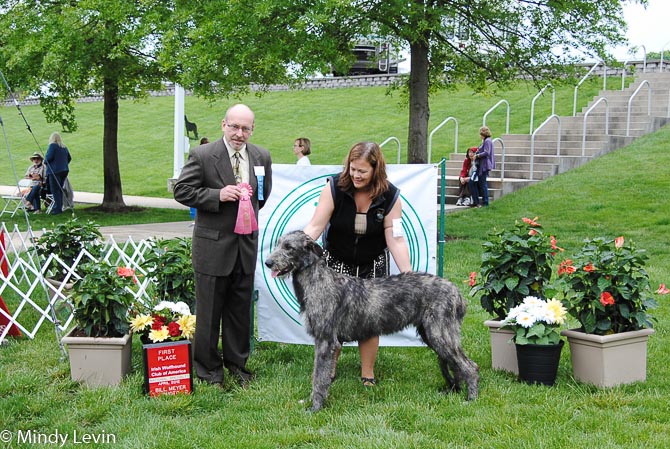 6-9 Month Dog: Ierne's Saltimbanco