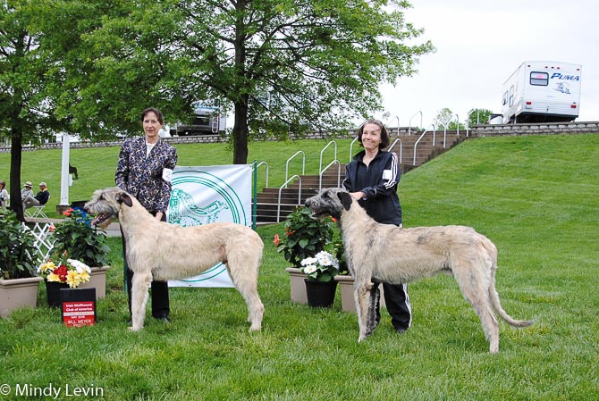 9-12 Month Dog, Other Placements: 2. Undercover von der Oelmuhle 3. Mandala Touch Of Grey Eirian