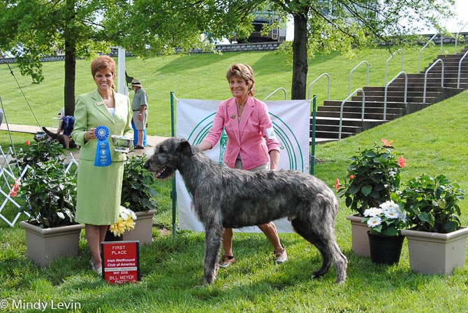 12-18 Month Dog: Taryn Hickory Hollow