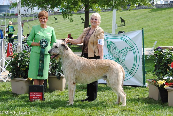 GCH Carroy Dermot McDuncan