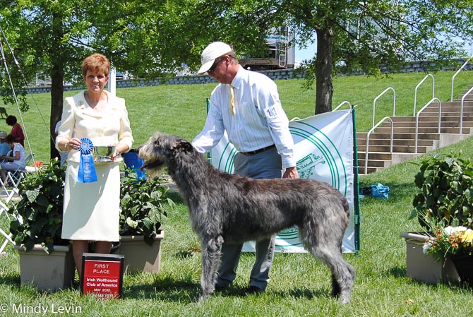 Bred-By Exhibitor Bitch: Opal Of Aerie