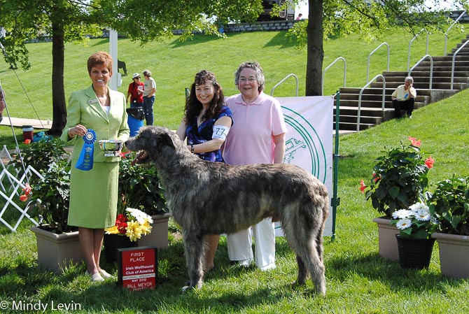 Bred-By Exhibitor Dog: Kellcastle Smoky Mountain