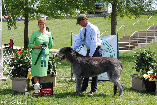 Best Bred By Exhibitor: Opal of Aerie