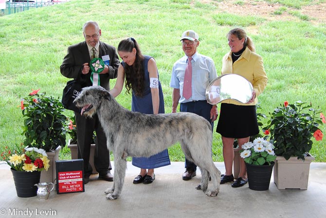 Best in Sweepstakes: Kellykerry Keynote 0f Aerie