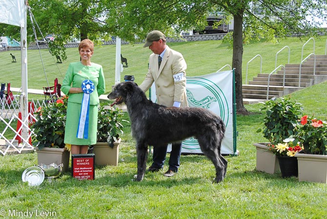 Best of Winners: Riverlawn Exit of Aerie