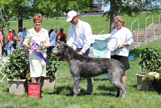 Reserve Winners Bitch: Opal of Aerie