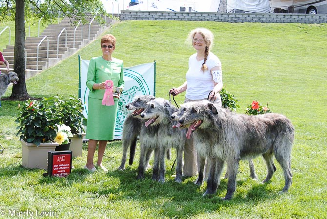 Team: Team I CH Tailstorm Karontara Timothy Tailstorm Karontara Tabitha Tailstorm Karontara The Divine Ms M Tailstorm Karontara Helix