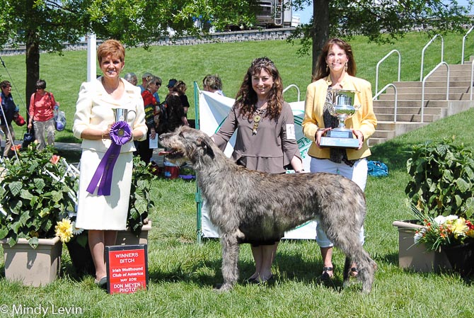 Winners Bitch: Dun Myrica Glitter of Eagle