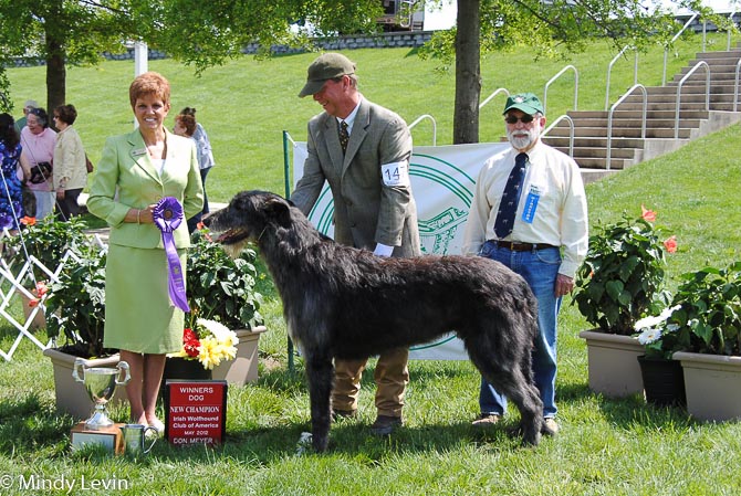Winners Dog: Riverlawn Exit Of Aerie
