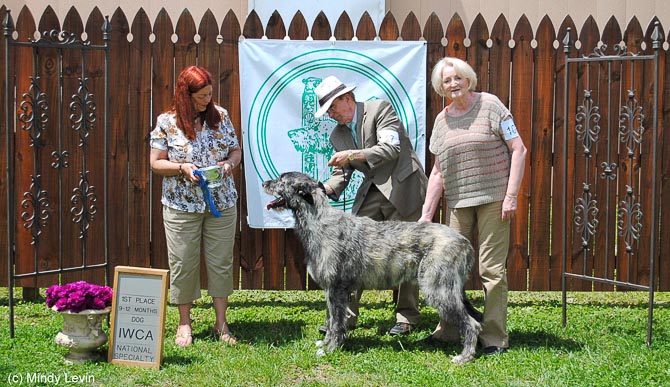 9-12 Month Dog: Windseeker Duluth at Foinaven