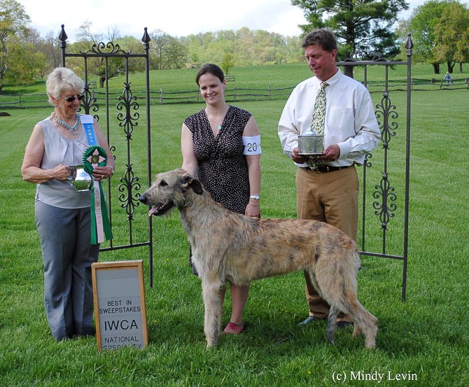Best in Sweepstakes: Wildisle Brie Andromeda