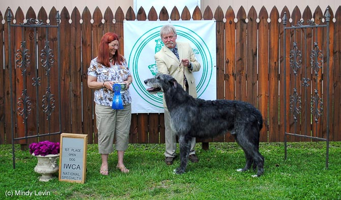 Open Dog: Keltairs Punisher