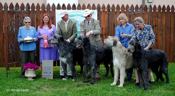 GCH Riverlawn Exit of Aerie