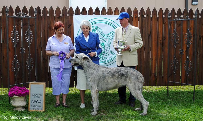Winners Bitch: St Leger Nassau
