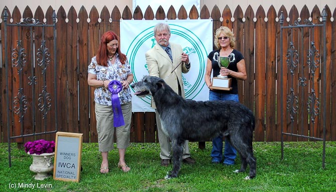 Winners Dog: Keltairs Punisher