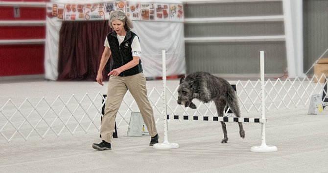 Rally Jump with Joanne Buehner Brown