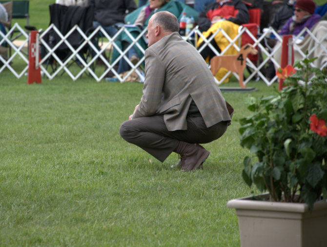 Conformation Judge Roger Tebbutt