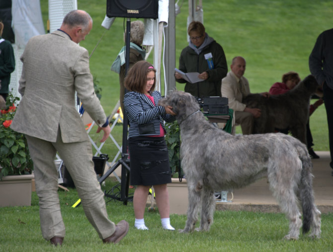 JR Handler Zion Zantha Star Mitchell in BOB Class