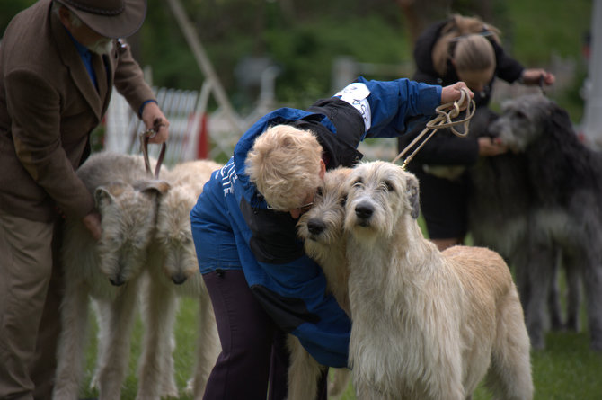 Brace Class with Lynne Rosebrock