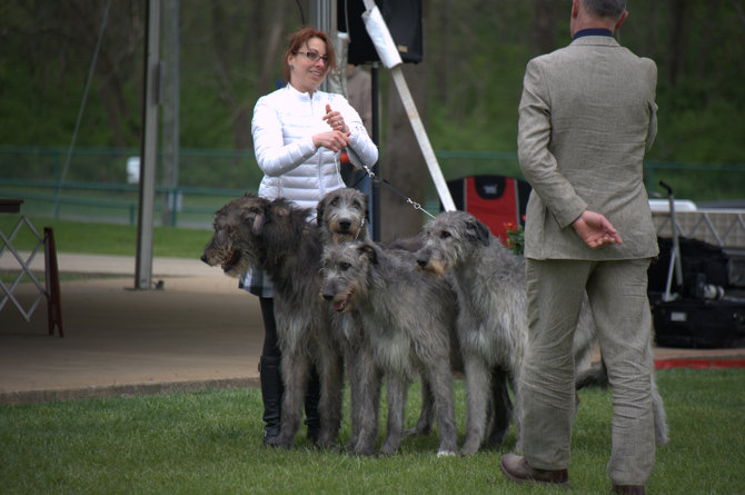 Team Class Winner Lani-Hopf King and the Starkeeper Team