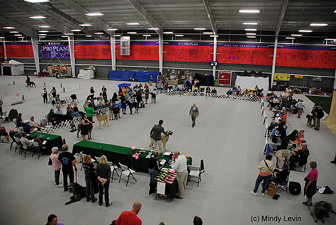 Sweepstakes Ring from Above