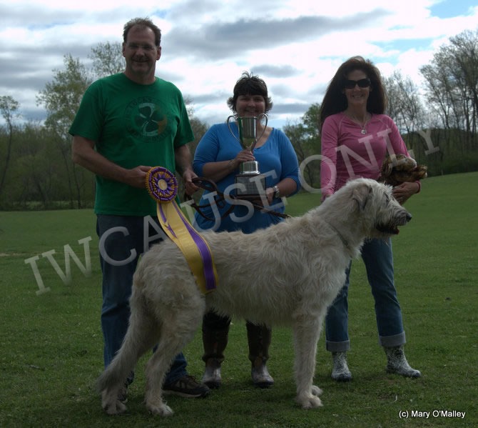 LGRA High In Trial: “Wallace” – Sir William Wallace Crawford