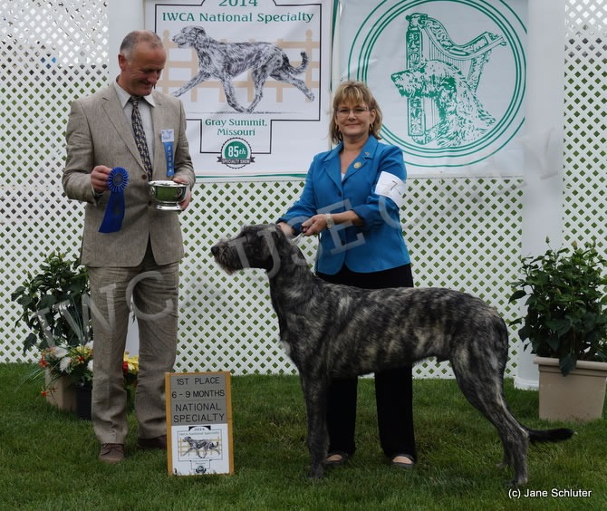 6-9 Month Dog: TARYN GUTHRIE OF POETRY