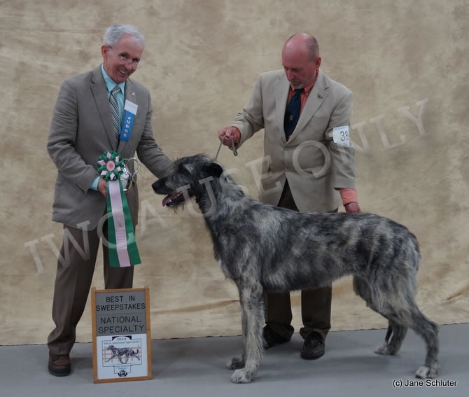 Best in Sweepstakes: DUN MYRICA MABELLINE OF EAGLE