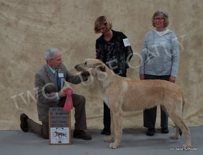 15-18 Month Bitch: RIVERSONG I'LL HAVE ANOTHER