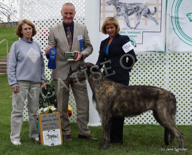 American Bred Bitch: MACCAURA LULU