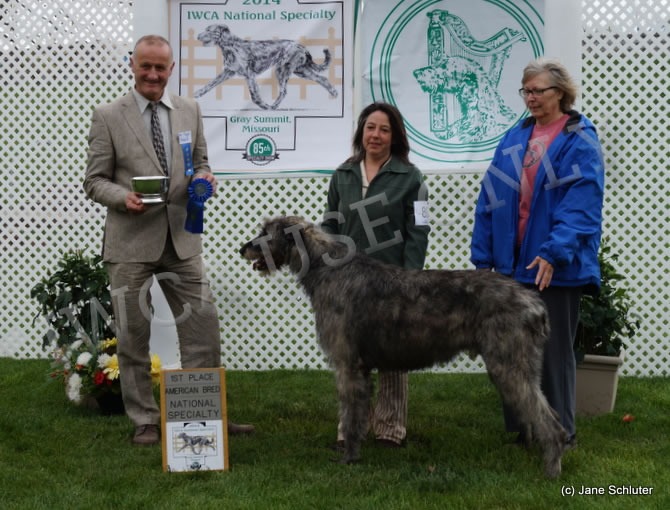 American Bred Dog: RIVERSONG WILL TOLOVE AT CONNEMARA