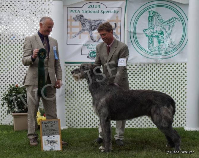 GCH RIVERLAWN EXIT OF AERIE