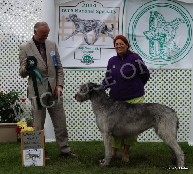 GLENAMADDA STARKEEPER CHEVONNE