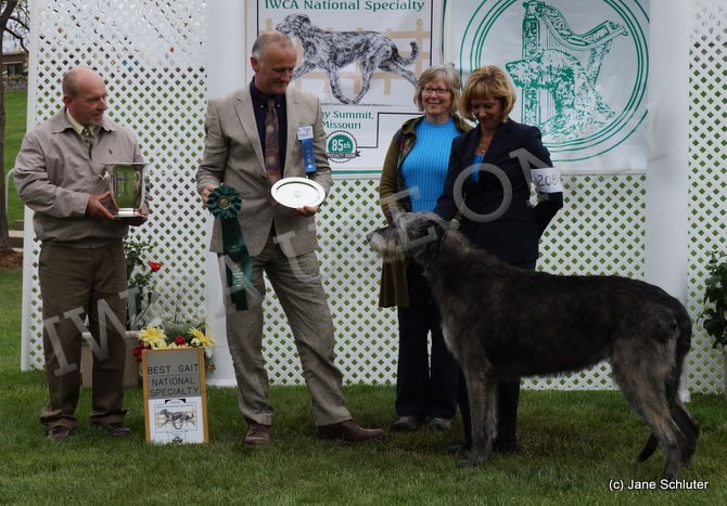 Best Gait: RIVERSONG PARDON MY HEART