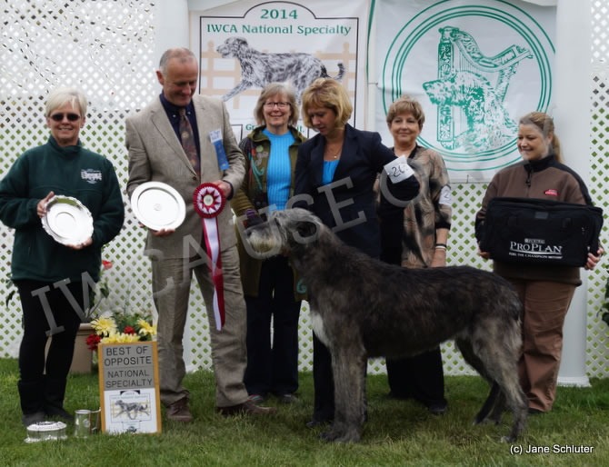 Best of Opposite Sex: RIVERSONG PARDON MY HEART