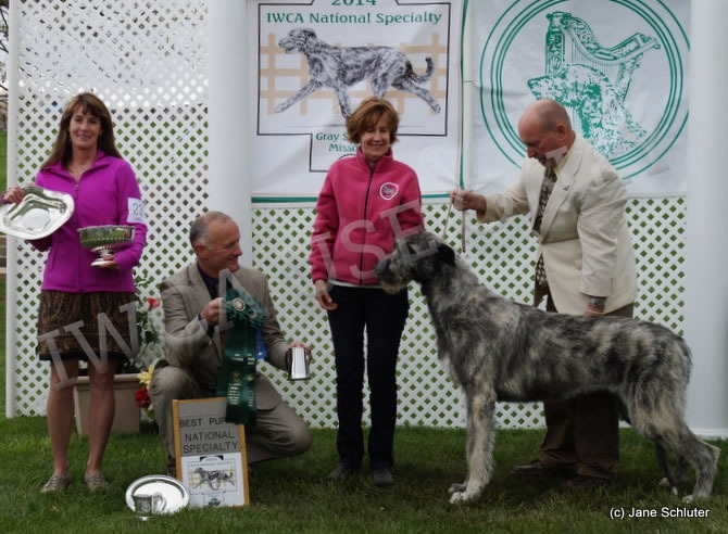 Best Puppy, Best Puppy 9-12 Months: DUN MYRICA MABELLINE OF EAGLE