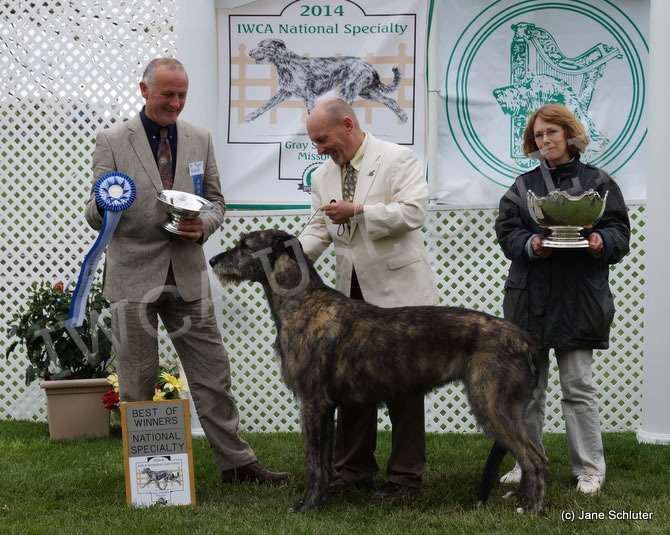 Best of Winners: MACCAURA LULU