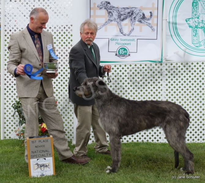 Novice Bitch: LONNKYLE PARANOIA AT NIGHTWING