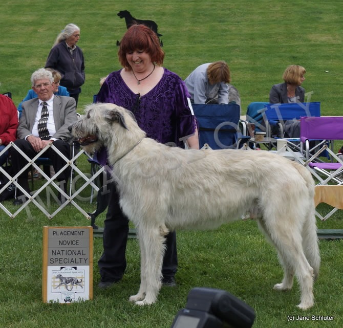 Novice Dog, Other Placements: 2. TALIESIN'S REALTA GHEAL I BODACH