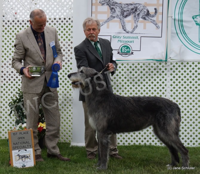 Open Bitch: KELTAIRS HALO LEGENDS