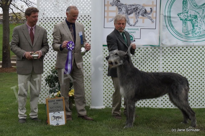 Reserve Winners Bitch: KELTAIRS HALO LEGENDS