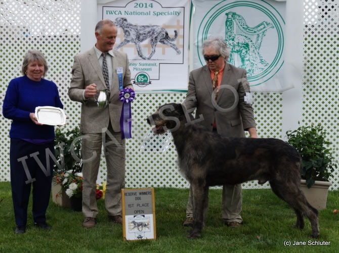 Reserve Winners Dog: ROCKHART PENANCE
