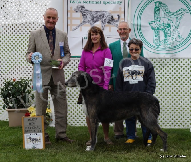 Select Bitch: CH STONEYBROOK LISMORE GYPSY ROSE