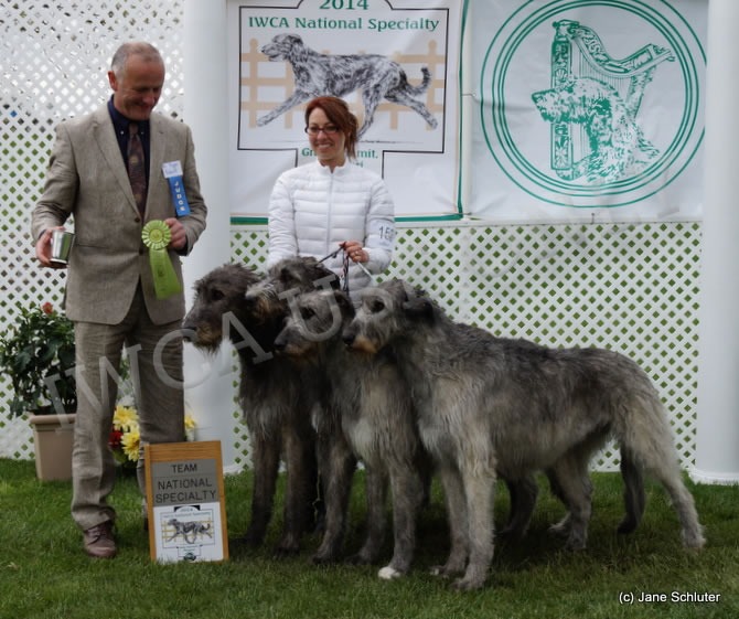 Team: Team II “Starkeeper” STARKEEPER RENA'S ROGUE GLENAMADDA STARKEEPER CLODAGH CH STARKEEPER GLENANADDA FYRENZE OF GRYFFINDOR SC GLENAMADDA STARKEEPER CHEVONNE