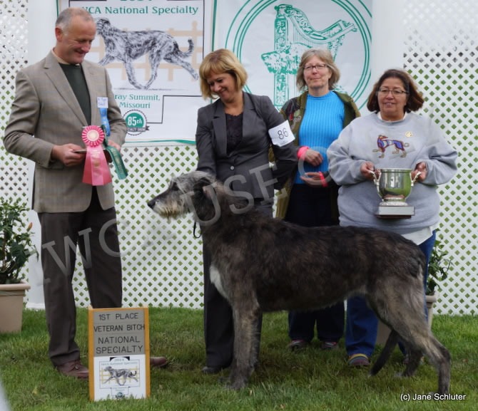Veteran Bitch: RIVERSONG PARDON MY HEART