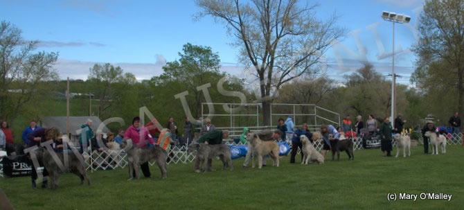 Veterans Parade Group Photo